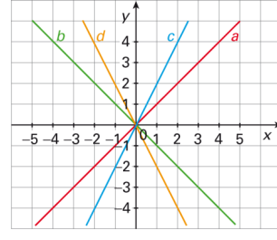 Quatro retas a b c d que passam na origem