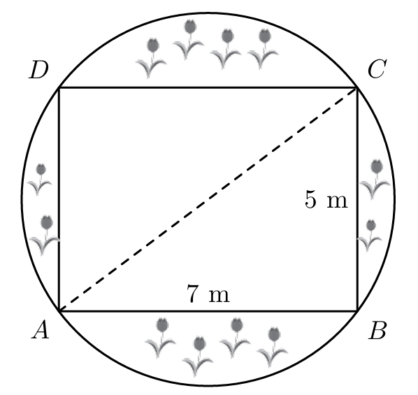Círculo com retângulo [ABCD] inscrito — canteiro
