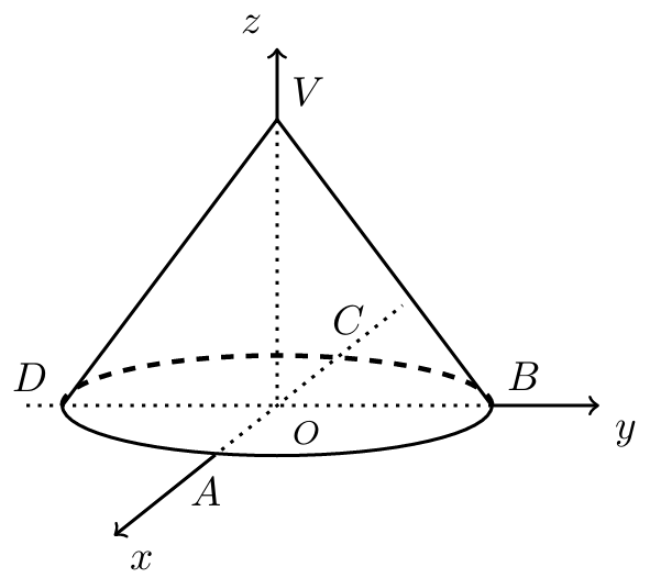 Figura 28 - cone de revolução