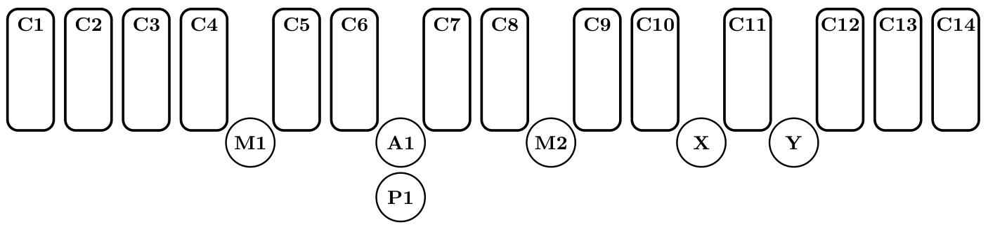 Linha dos catorze cartões C1 a C14 com os marcadores M1, A1, P1, M2, X e Y