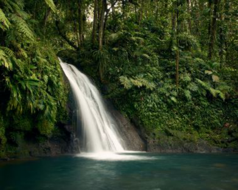Fotografia de uma cascata e de um lago natural