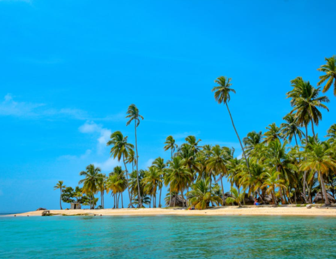 Fotografia de uma praia tropical com palmeiras